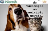 Estratégias de vacinação no município de Novais – SP, 2014.