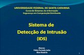 Sistema de Detecção de Intrusão (IDS) Alunos: Fábio Furtado Leite Rian Rosário 1.