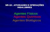 NR-15 : ATIVIDADES E OPERAÇÕES INSALUBRES Agentes Químicos Agentes Químicos Agentes Biológicos Agentes Físicos.