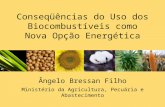 Ângelo Bressan Filho Ministério da Agricultura, Pecuária e Abastecimento Julho de 2007 Conseqüências do Uso dos Biocombustíveis como Nova Opção Energética.