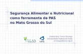 Segurança Alimentar e Nutricional como ferramenta da PAS no Mato Grosso do Sul Estelamaris Tronco Monego Universidade Federal de Goiás emonego@fanut.ufg.br.