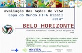 Avaliação das Ações de VISA Copa do Mundo FIFA Brasil 2014™ Seminário de Avaliação – Curitiba, 20 a 21 de agosto de 2014 BELO HORIZONTE JOCELY CAETANO.