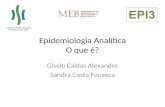 Epidemiologia Analítica O que é? Gisele Caldas Alexandre Sandra Costa Fonseca.