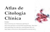 Atlas de Citologia Clínica Fontes: http://screening.iarc.fr/atlascyto.php?lang=4 http://www.geocities.com/jcprolla/Cytopathology_Atlas.html http://pathology2.jhu.edu/cyto_tutorial/Atlas/Index.cfm.