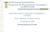 Programa de Planejamento Energético COPPE/UFRJ Fontes Renováveis e Alternativas Energéticas – COG852 Profs. Maurício Cardoso Arouca 2 o Período de 2005.
