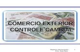 COMERCIO EXTERIOR: CONTROLE CAMBIAL Negócios Internacionais - M.Sc. Rose Mary Amorim 1.