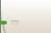 Linux Interface Gráfica.  fgdfgdf Desktop 1.Ubuntu Desktop: A tela inicial do sistema. 2.Lançador: Agrega os principais programas aplicativos do sistema.