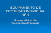 EQUIPAMENTO DE PROTEÇÃO INDIVIDUAL NR 6 Rosemary Dutra Leão Rosemary.leao@mte.gov.br.
