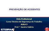 PREVENÇÃO DE ACIDENTES Ciclo Profissional Curso Técnico de Segurança do Trabalho AULA 3 Prof.ª Sandra Valéria.