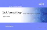 IBM Systems | Storage Tivoli Storage Manager Principais componentes do TSM e modalidades de licenciamento Janeiro/2015 Mauricio Massa Client Technical.