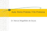 Aula: Reino Protista / Filo Protozoa Dr. Marcos Magalhães de Souza.
