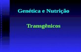 Genética e Nutrição Transgênicos. O que são AGM Alimentos geneticamente modificados Envolve a inserção de DNA de um organismo em outro, modificando o.