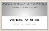 COLÉGIO AGRÍCOLA DE VERANÓPOLIS Grandes Culturas – 2º Ano CULTURA DO MILHO Prof. Eng. Agr. Bernardo Tedesco.