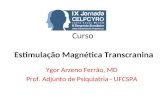 Curso Estimulação Magnética Transcranina Ygor Arzeno Ferrão, MD Prof. Adjunto de Psiquiatria - UFCSPA.