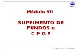 SUPRIMENTO DE FUNDOS e C P G F Módulo VII Curso Básico de SIAFI.