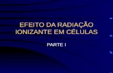 EFEITO DA RADIAÇÃO IONIZANTE EM CÉLULAS PARTE I. Efeitos da radiação ionizante em células 1895  descoberta dos raios X e da radioatividade natural W.