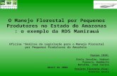 O Manejo Florestal por Pequenos Produtores no Estado do Amazonas : o exemplo da RDS Mamirauá Oficina “Análise da Legislação para o Manejo Florestal por.