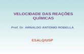 VELOCIDADE DAS REAÇÕES QUÍMICAS Prof. Dr. ARNALDO ANTONIO RODELLA ESALQ/USP.