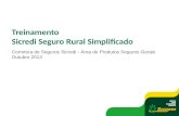 Treinamento Sicredi Seguro Rural Simplificado Corretora de Seguros Sicredi - Área de Produtos Seguros Gerais Outubro 2013.