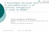 José António PorfírioLisboa, 11 de Novembro 20061 A Estratégia Nacional para os biocombustíveis e as culturas energéticas (A visão do MADRP) José António.