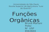 Funções Orgânicas Bruna Mariani Polez N º USP 8563604 Universidade de São Paulo Escola Superior de Agricultura “Luiz de Queiroz”