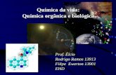 Química da vida: Química orgânica e biológica Química orgânica e biológica Prof. Élcio Rodrigo Ramos 13913 Filipe Ewerton 13901 EHD.