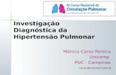 Mônica Corso Pereira Unicamp PUC - Campinas Investigação Diagnóstica da Hipertensão Pulmonar corso@mpcnet.com.br.