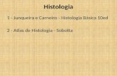 Histologia 1 - Junqueira e Carneiro - Histologia Básica 10ed 2 - Atlas de Histologia - Sobotta.