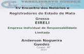 EIRELI Empresa Individual de Responsabilidade Limitada Anderson Nogueira Guedes Cuiabá - MT 2013 XV Encontro dos Notários e Registradores do Estado de.
