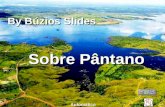 By Búzios Slides Sobre Pântano Automático Voar sobre o pântano By Búzios.