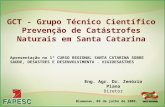 GCT - Grupo Técnico Científico Prevenção de Catástrofes Naturais em Santa Catarina Blumenau, 09 de julho de 2009. Eng. Agr. Dr. Zenório Piana Diretor Apresentação.