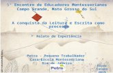 5º Encontro de Educadores Montessorianos Campo Grande, Mato Grosso do Sul A conquista da Leitura e Escrita como processo  Relato de Experiência Petra.