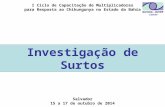 Investigação de Surtos I Ciclo de Capacitação de Multiplicadores para Resposta ao Chikungunya no Estado da Bahia Salvador 15 a 17 de outubro de 2014 CEVESP.