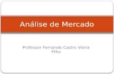 Professor Fernando Castro Vieira Filho Análise de Mercado.