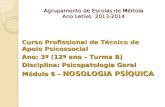 Agrupamento de Escolas de Mértola Ano Letivo 2013-2014 Curso Profissional de Técnico de Apoio Psicossocial Ano: 3º (12º ano – Turma B) Disciplina: Psicopatologia.
