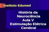 Instituto Edumed História da Neurociência Aula V Estimulação Elétrica Cerebral.