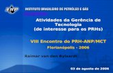 1 1 Atividades da Gerência de Tecnologia (de interesse para os PRHs) VIII Encontro do PRH-ANP/MCT Florianópolis - 2006 03 de agosto de 2006 Raimar van.