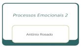 Processos Emocionais 2 António Rosado. Clima Emocional O ambiente emocional no treino representa o substracto emocional de base, o suporte essencial,