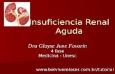 Insuficiencia Renal Aguda Dra Glayse June Favarin 4 fase Medicina - Unesc .