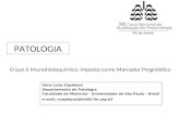 Vera Luiza Capelozzi Departamento de Patologia Faculdade de Medicina - Universidade de São Paulo – Brazil e-mail: vcapelozzi@lim05.fm.usp.b r PATOLOGIA.