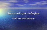 Terminologia cirúrgica Profª Luciana Resque. Cabe ao pessoal de enfermagem e de instrumentação cirúrgica entender os diversos aspectos que envolvem o.