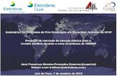 Projeção de mercado de energia elétrica para a revisão tarifária durante a crise econômica de 2008/09 José Francisco Moreira Pessanha (francisc@cepel.br)francisc@cepel.br.