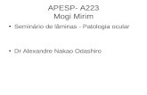 APESP- A223 Mogi Mirim Seminário de lâminas - Patologia ocular Dr Alexandre Nakao Odashiro.