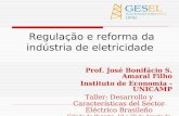 Regulação e reforma da indústria de eletricidade Prof. José Bonifácio S. Amaral Filho Instituto de Economia - UNICAMP Taller: Desarrollo y Características.