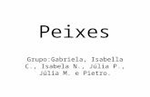 Peixes Grupo:Gabriela, Isabella C., Isabela N., Júlia P., Júlia M. e Pietro.