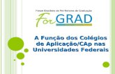 A Função dos Colégios de Aplicação/CAp nas Universidades Federais.
