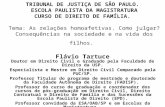 TRIBUNAL DE JUSTIÇA DE SÃO PAULO. ESCOLA PAULISTA DA MAGISTRATURA CURSO DE DIREITO DE FAMÍLIA. Tema: As relações homoafetivas. Como julgar? Consequências.