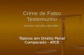 Crime de Falso Testemunho homini mendax ab initio Tópicos em Direito Penal Comparado - ATCE.