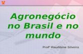 Agronegócio no Brasil e no mundo Profª Raudilene Silveira.