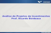 1 Análise de Projetos de Investimentos Prof. Ricardo Bordeaux.